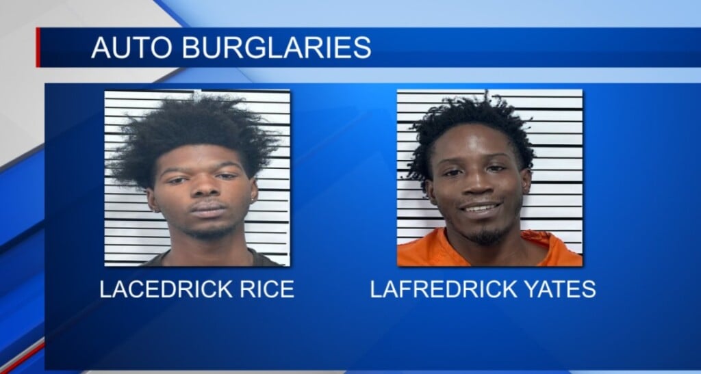 Auto Burglary Arrests