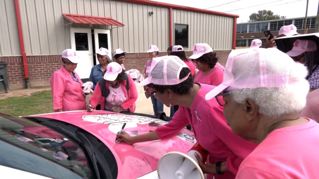 Sims Scott Community hosts cancer walk to raise awareness