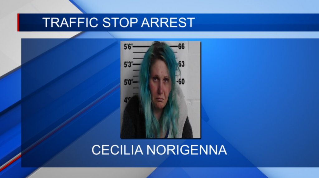 Police arrest woman for drug possession in Prentiss Co.