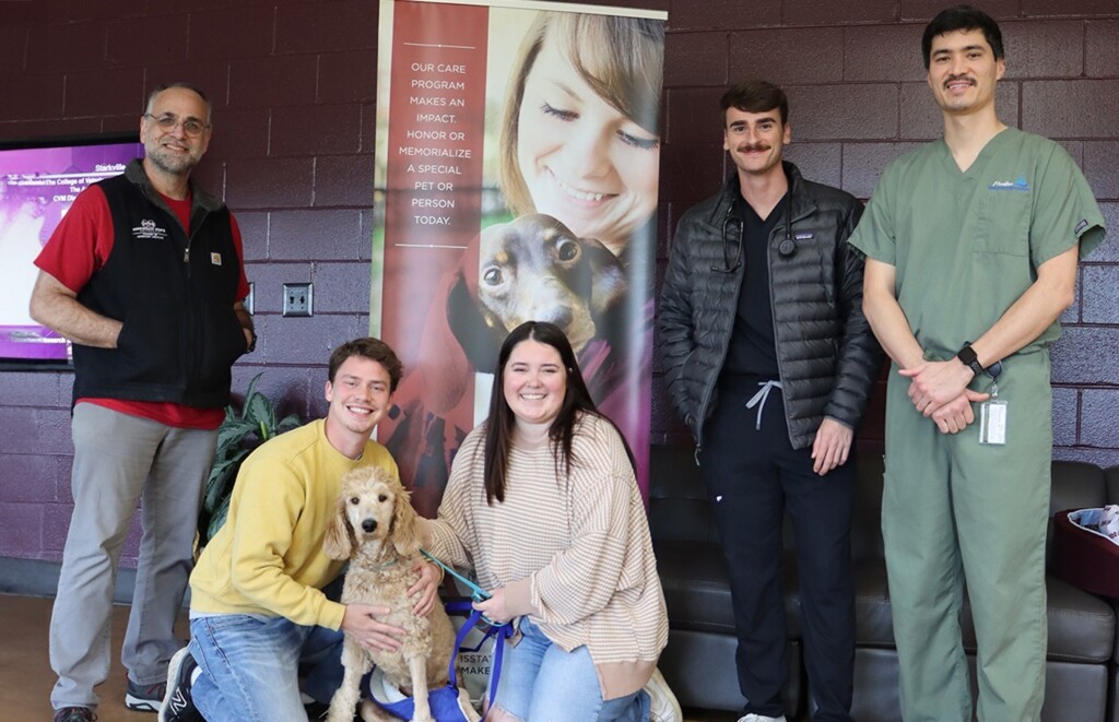 MSU veterinarians save puppy’s legs after Arkansas couple spends wedding funds for surgery