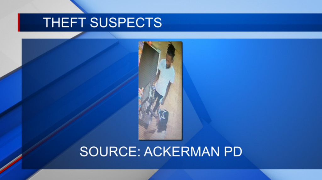 Two men wanted for auto theft in Ackerman