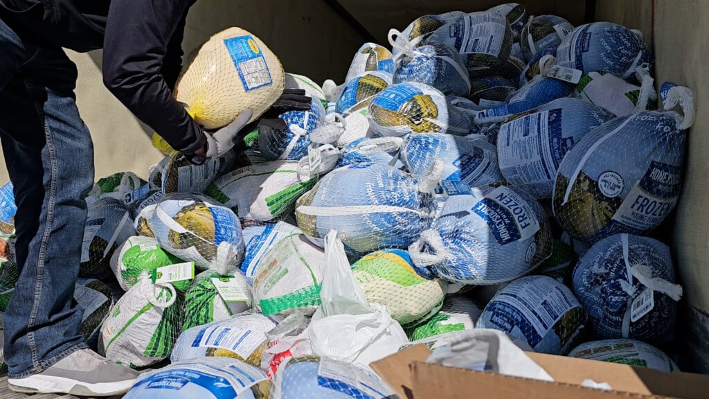 Truck Full Of Frozen Turkeys With Guy Holding One