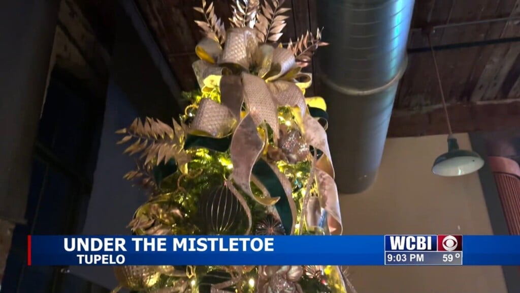 Tupelo Women's Club Hosts Its Annual 'holiday Tree Festival'