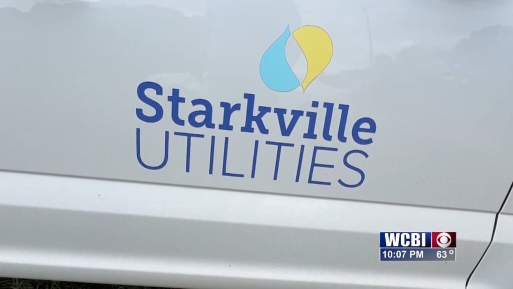 Su And Tva Host A Tree Planting Event In Starkville