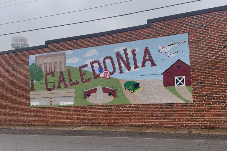 Caledonia brightens Town Hall with new colorful mural