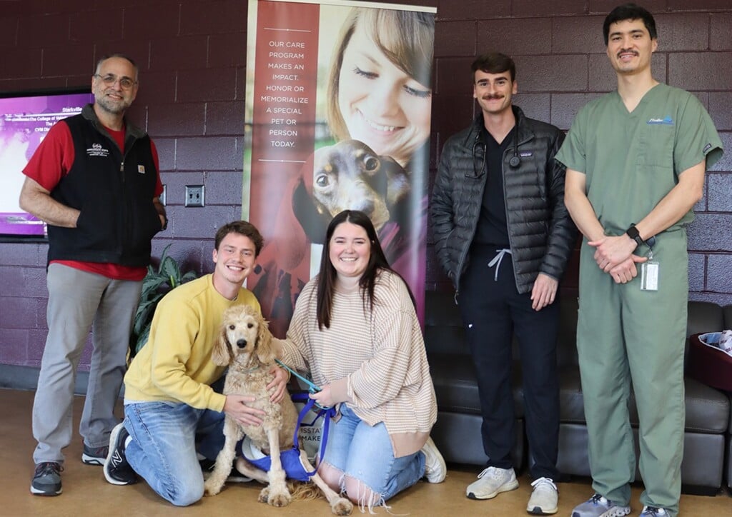 MSU veterinarians save puppy’s legs after Arkansas couple spends wedding funds for surgery