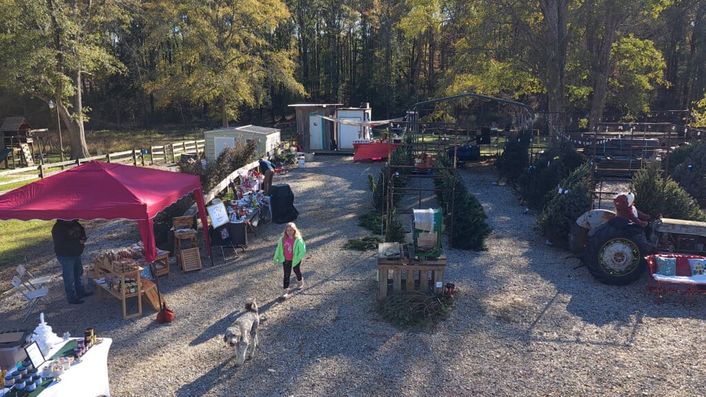 Farm Lot With Christmas Trees And Vendor Tables