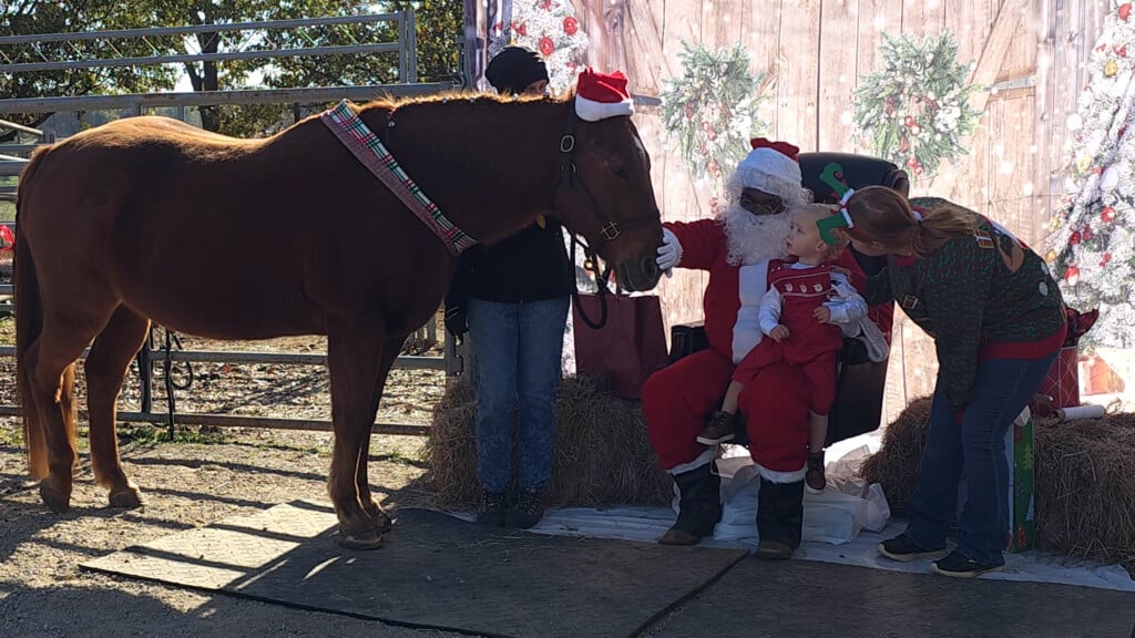 Santa With Kid In His Lap Petting Horse