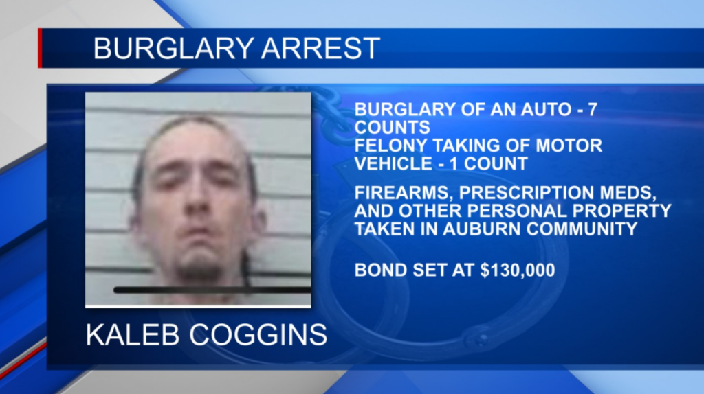 Man arrested for multiple auto burglaries in Lee Co.