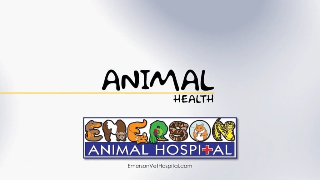 Animal Health (pingo) 01/16/24