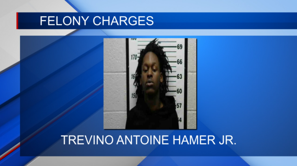 Amory man faces felony malicious mischief and fleeing charges