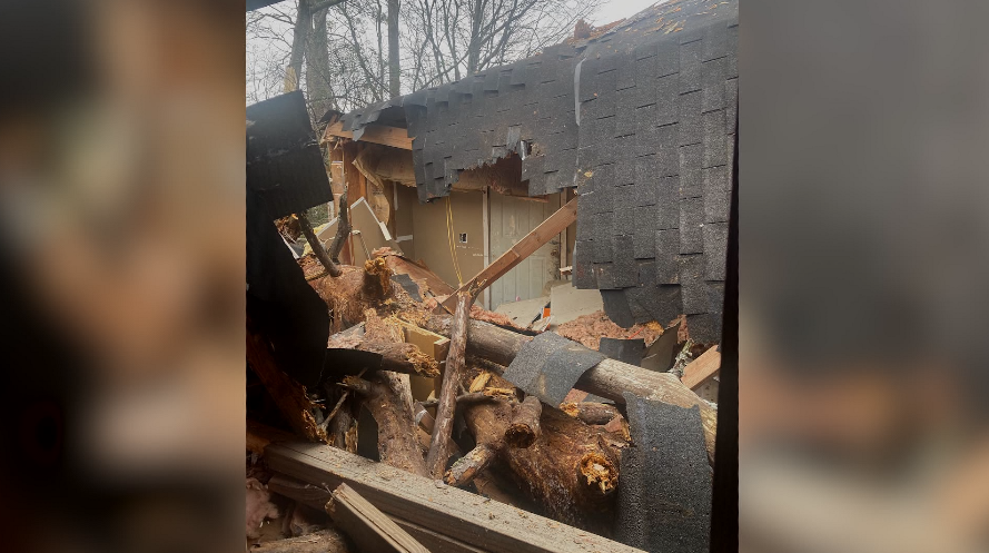 One person injured after a tree falls through a Columbus home