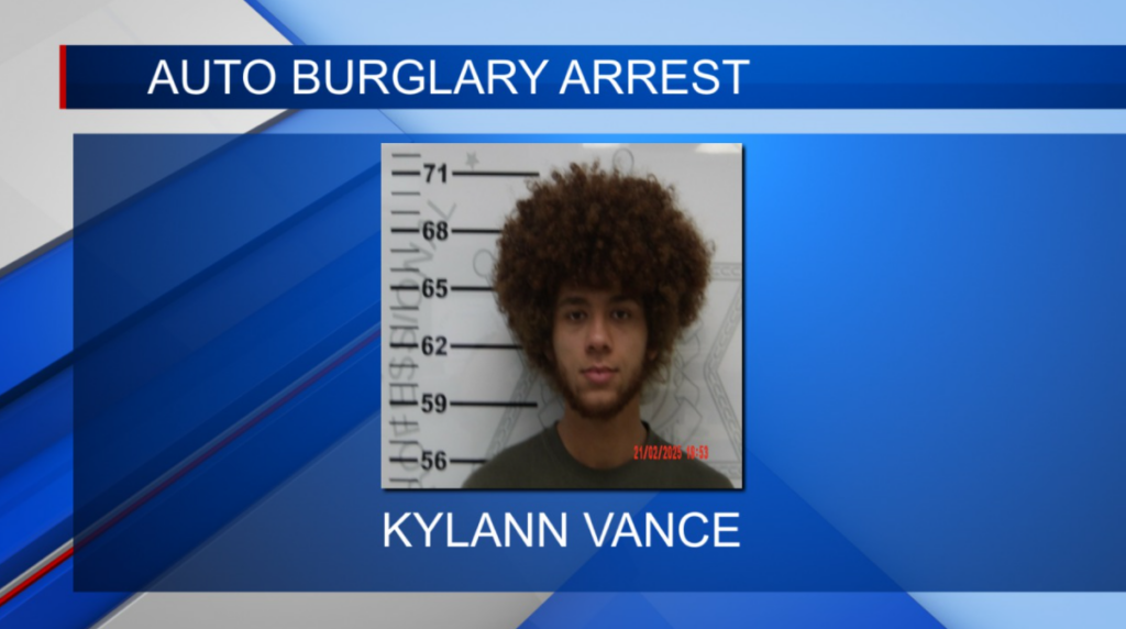 Police make an arrest after an auto burglary in Oxford