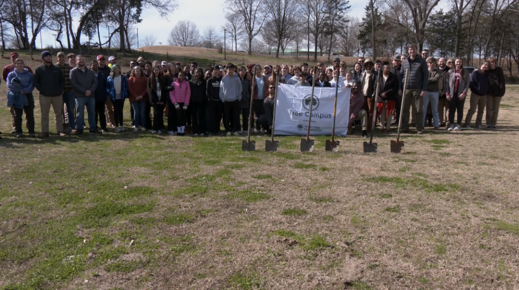 Local organizations come together to plant trees in Starkville