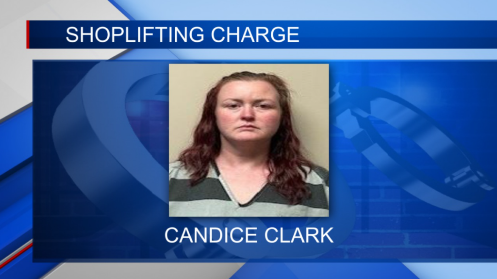 Saltillo woman arrested for felony shoplifting in lee Co.