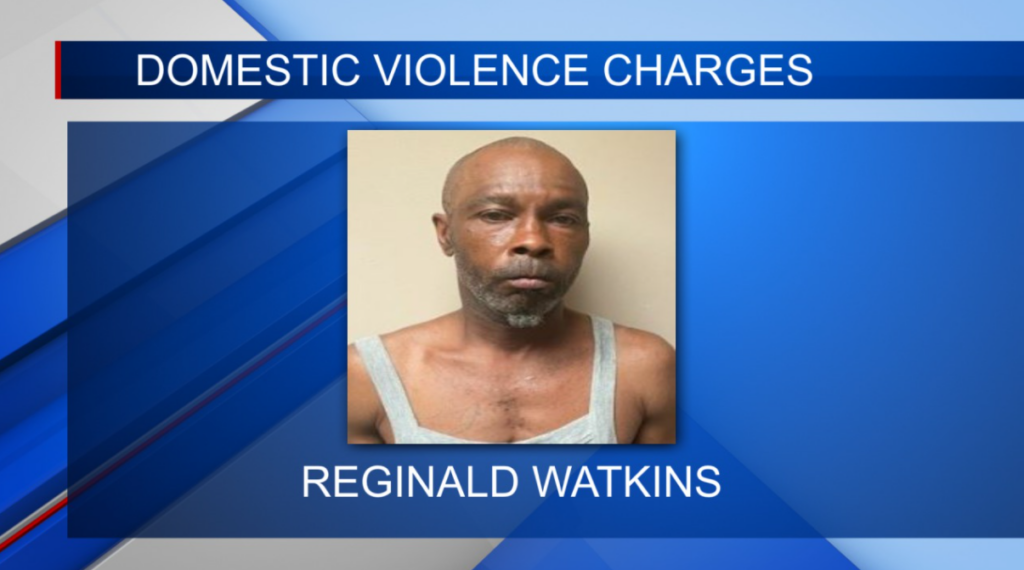 Verona man arrested for 3rd offense Domestic Violence in Lee Co.