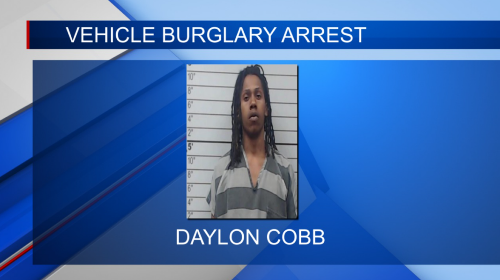 Man arrested four counts automobile burglary in Lee Co.