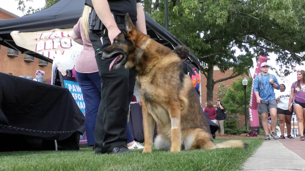 K9 Pic
