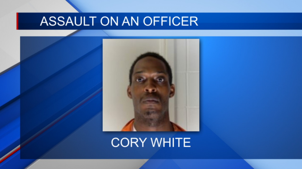 Lowndes County man arrested for punching an officer in the face