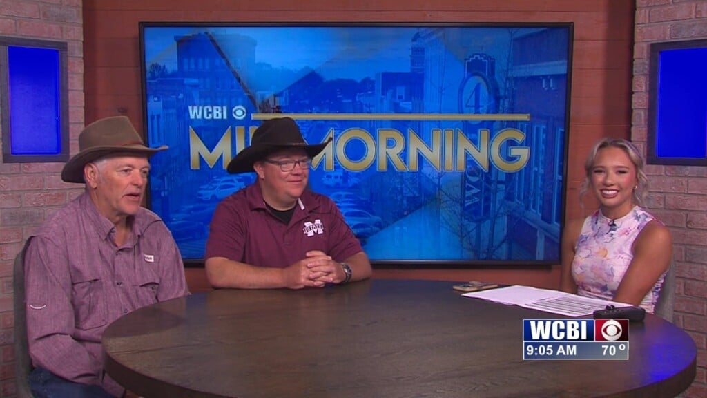 Mid-morning (Lowndes County Rodeo) - 05/29/25