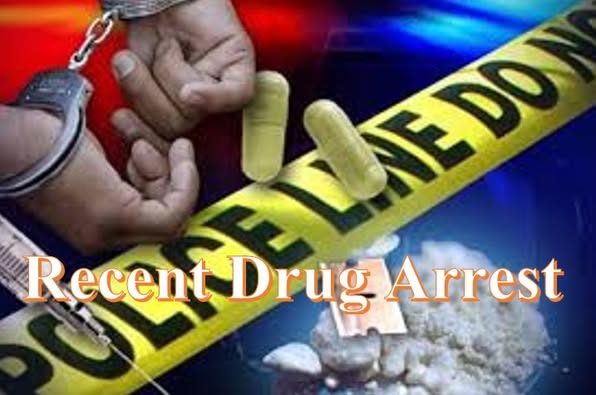 Receent Drug Arrest Logo From Lcso