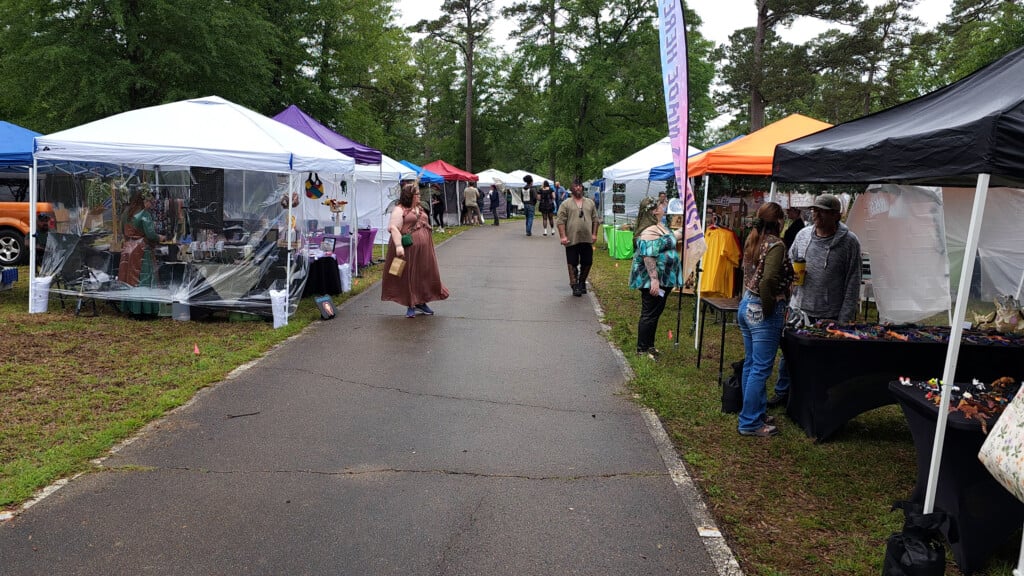 Fae Festival Picture
