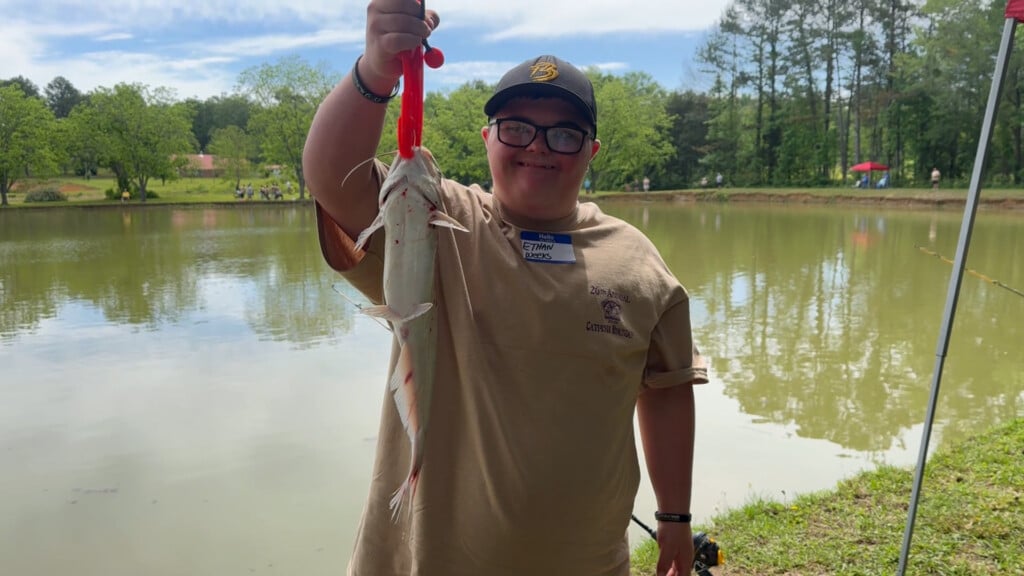 Catfish