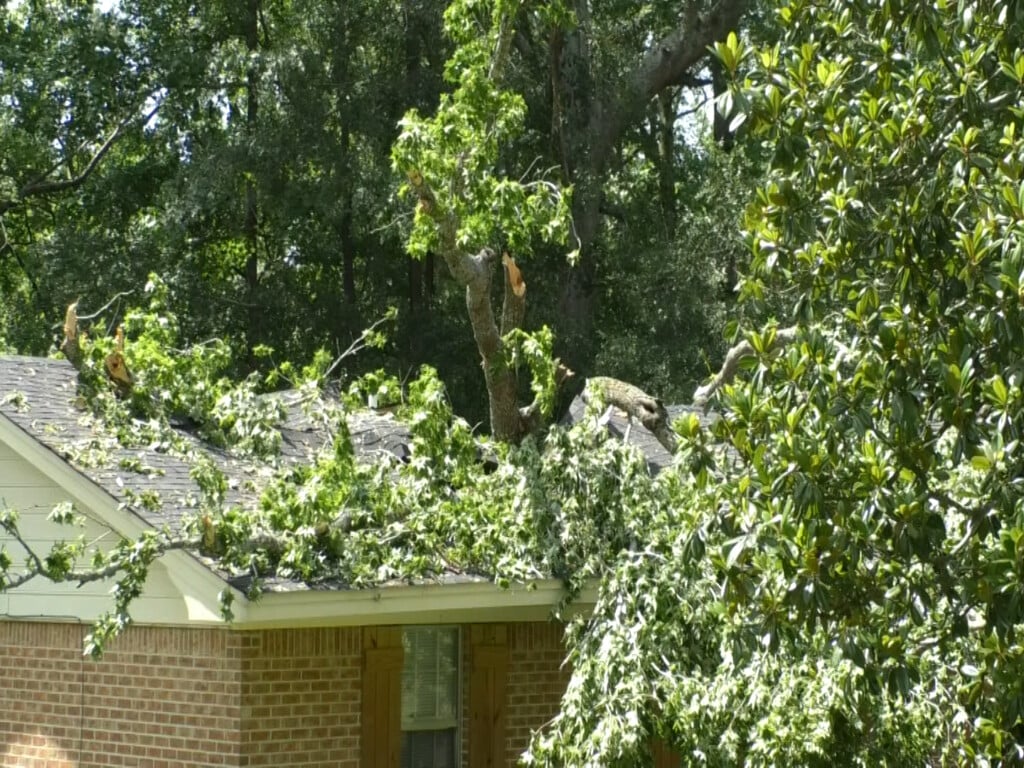 Lowndes County emergency services assess storm damage