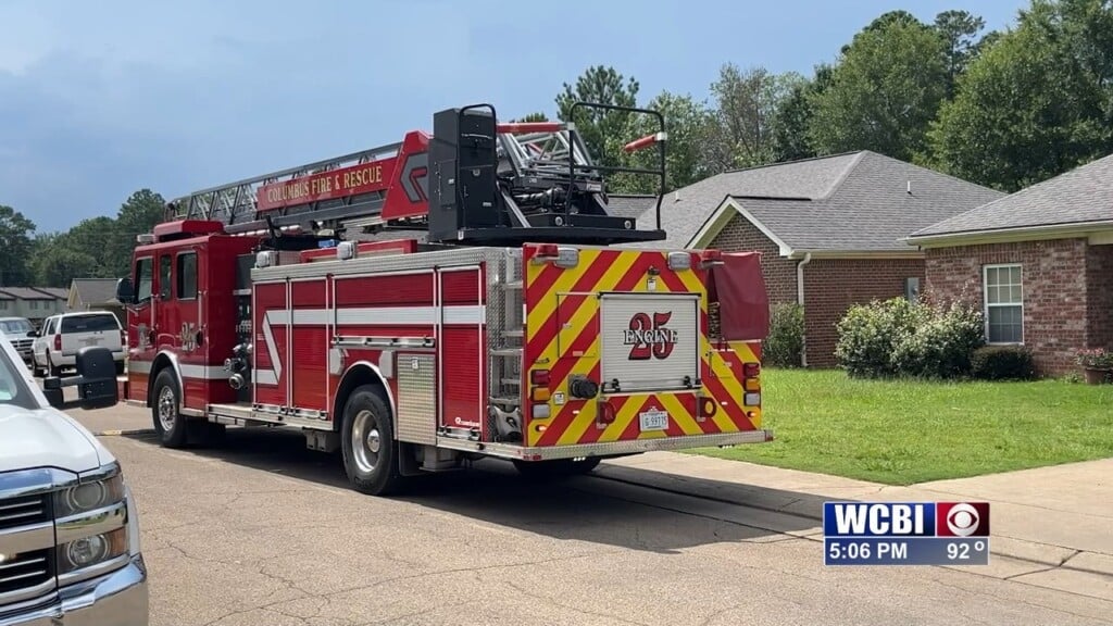 Lightning Strikes Tree Near Family's Home In Columbus