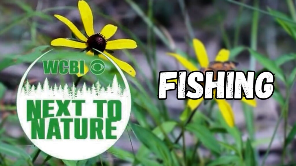 Next to Nature (Fishing) - 06/18/2025