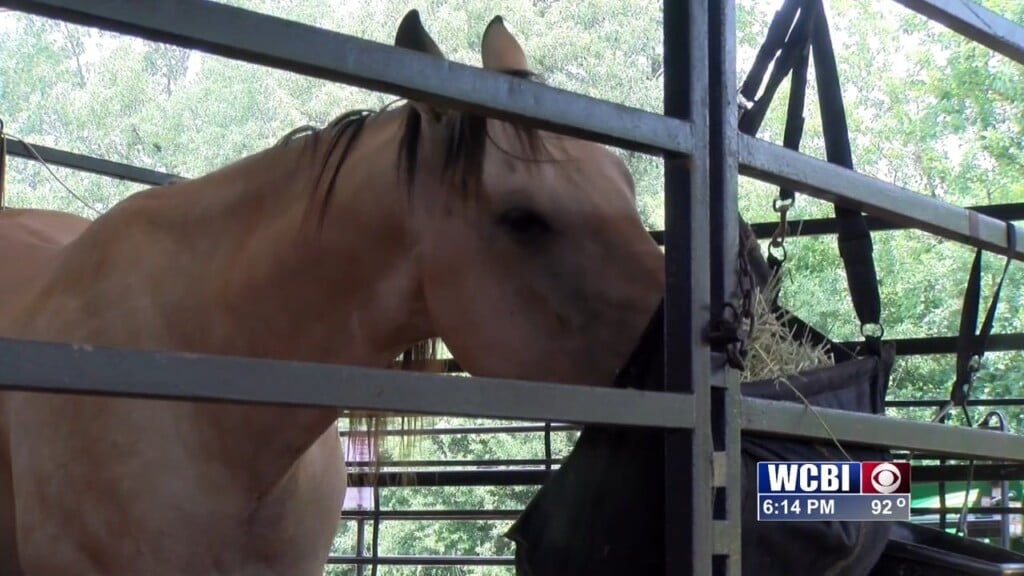 Preparations Underway For Second Annual Rodeo In Lowndes Co.