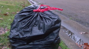 Trash Increase Gfx