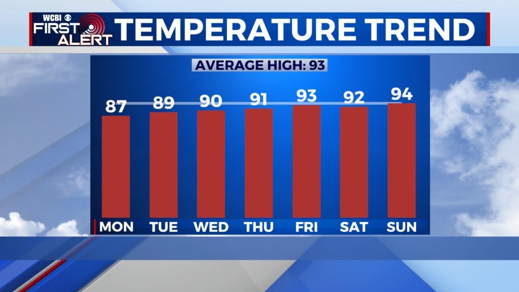 Temp T 84