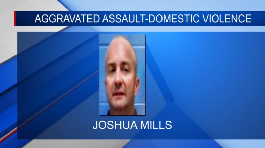 Man charged with domestic violence in Winston Co.