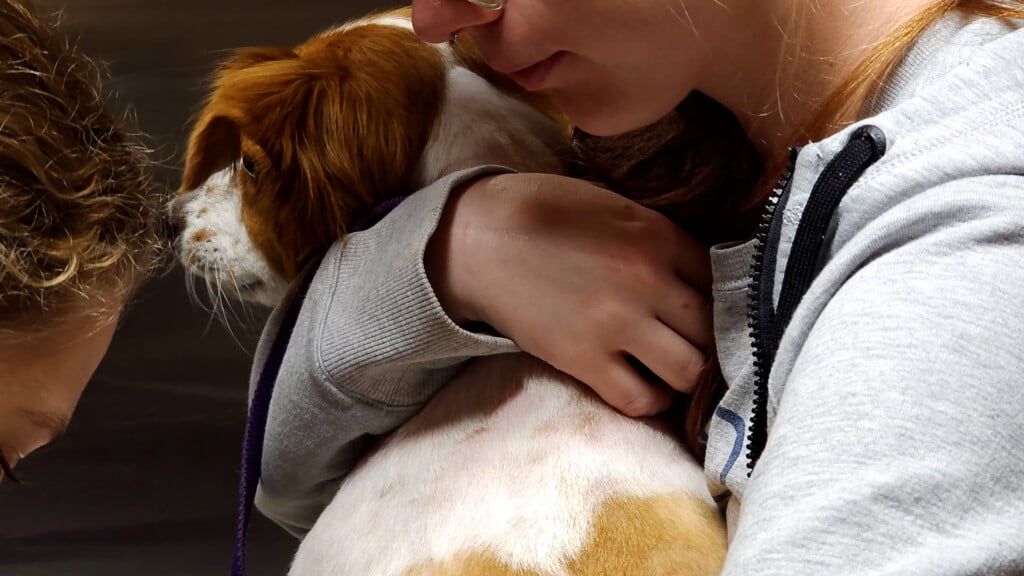 OCHS Second Chance Fund needs your help