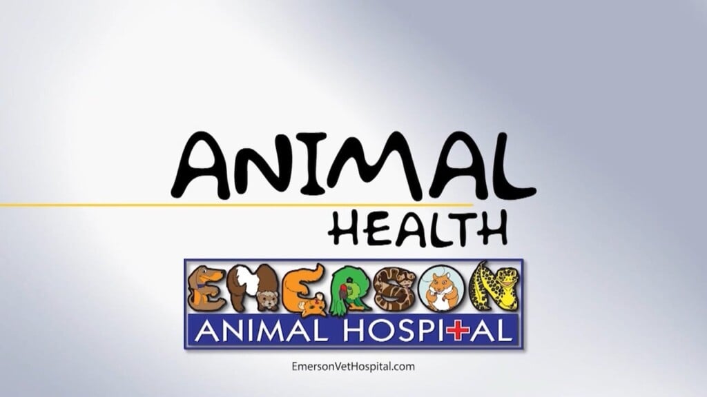 Animal Health (pup Pup) 08/21/25