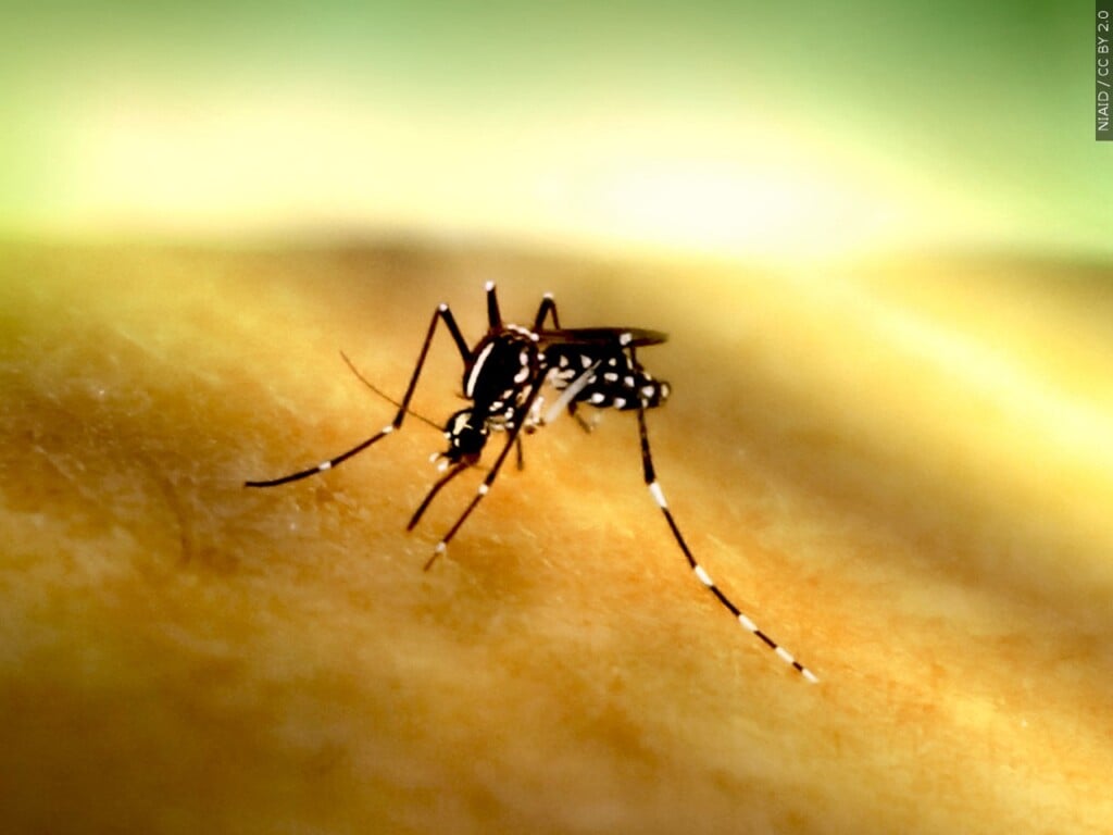 West Nile