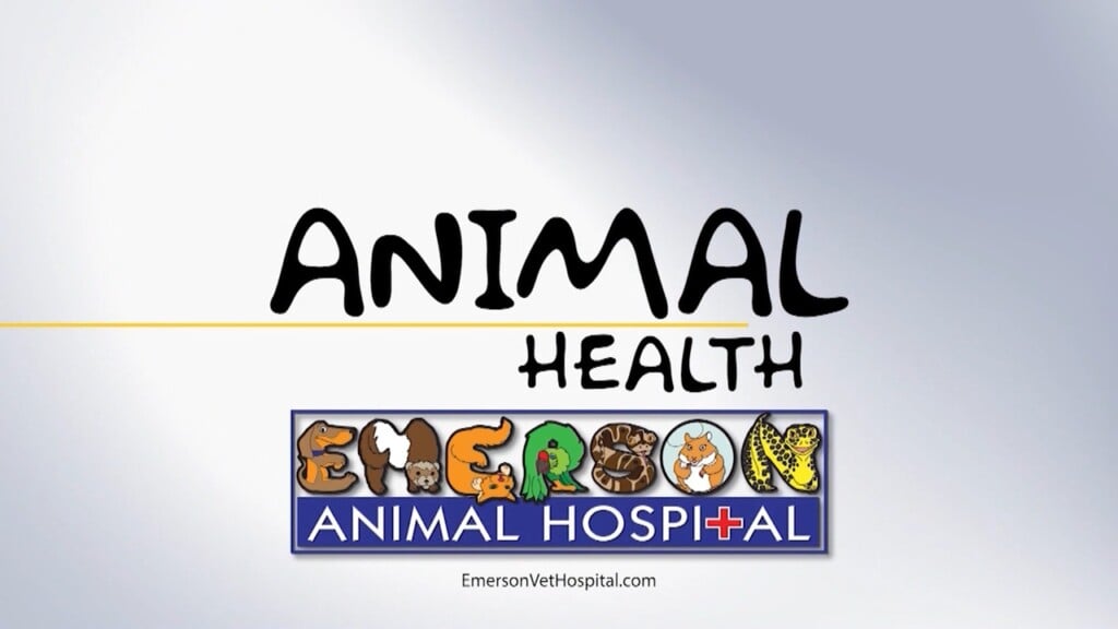 Animal Health (wizer) 08/14/25