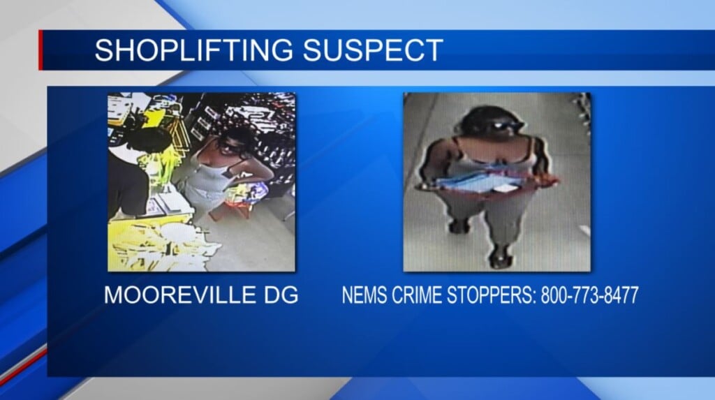 Woman wanted for felony shoplifting in Lee County