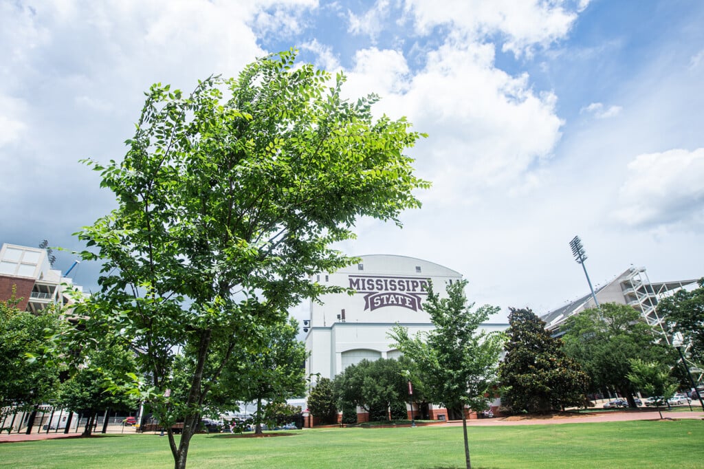 Mississippi State adds 2,000 trees to campus landscape, transforming university’s ‘great outdoors’