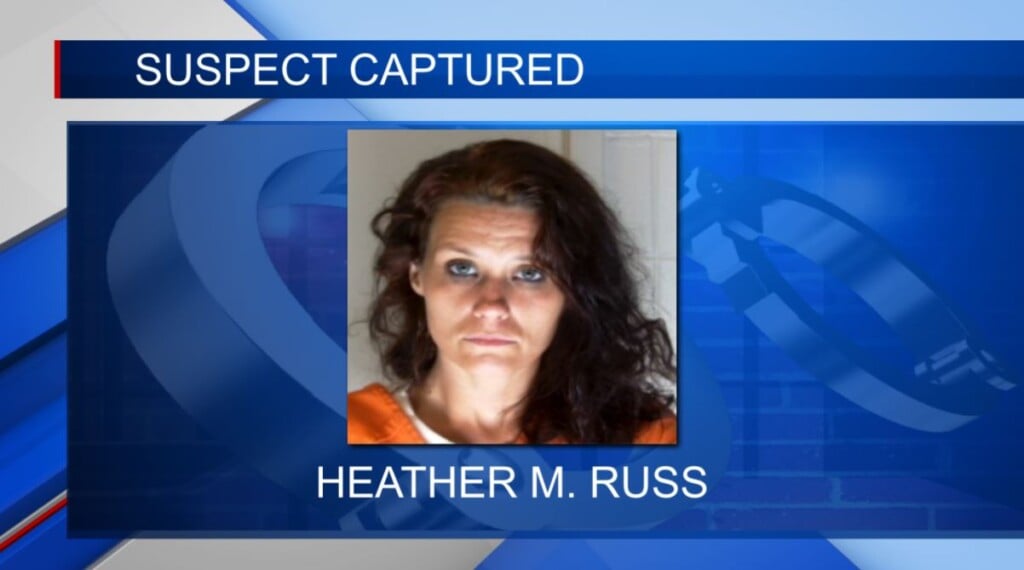 Lowndes Co. Sheriff reports auto theft suspect has been captured