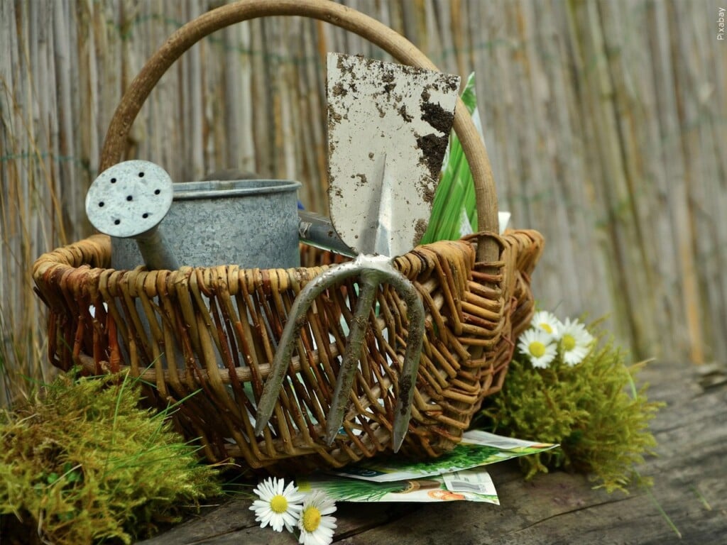gardening