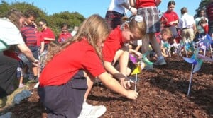Students plant pinwheels for peace at Annunciation Catholic School