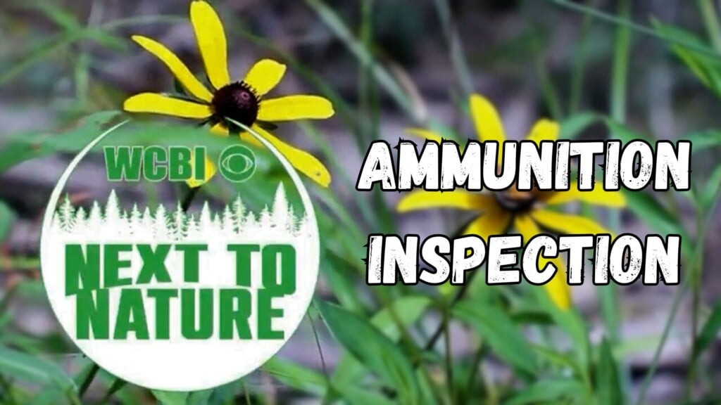 Next to Nature (Ammo Inspection) - 09/24/2025