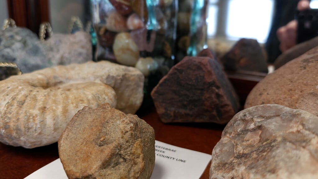Fossils