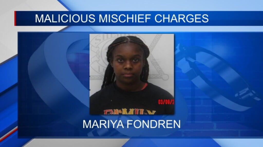Batesville woman accused of vandalism in Lafayette Co.