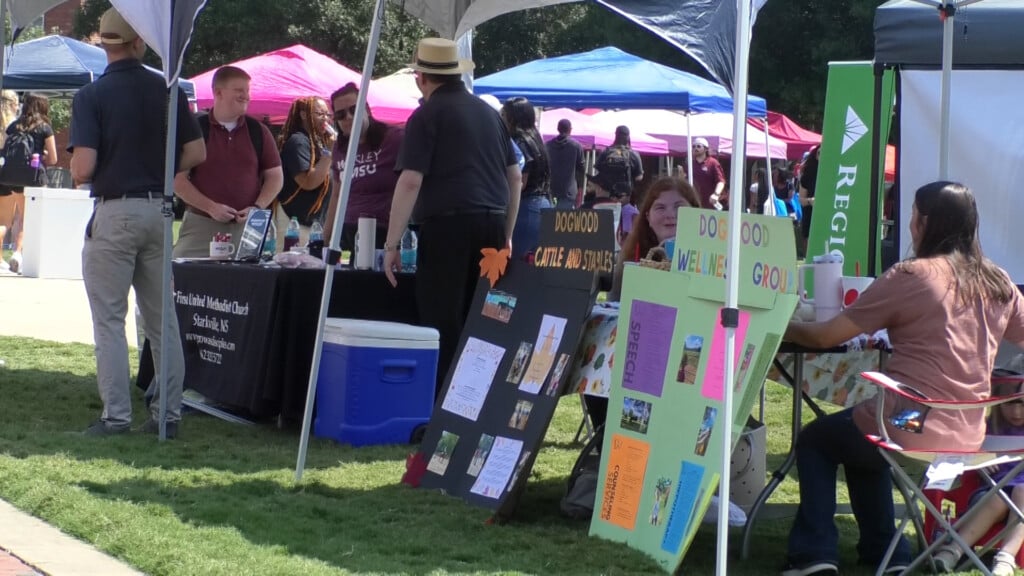 Annual Shades of Starkville business fair held at MSU Drill field