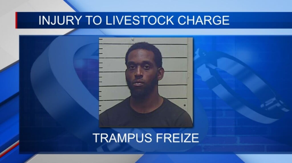 Man faces charges after killing two cows with his car in Montpelier