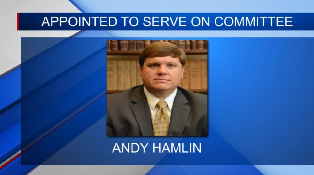 Andy Hamlin appointed to serve on Standing Committee 