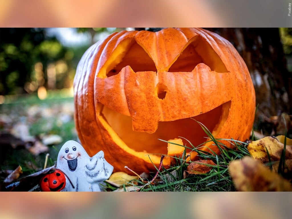 Pumpkin